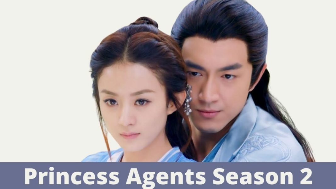 princess agents netflix