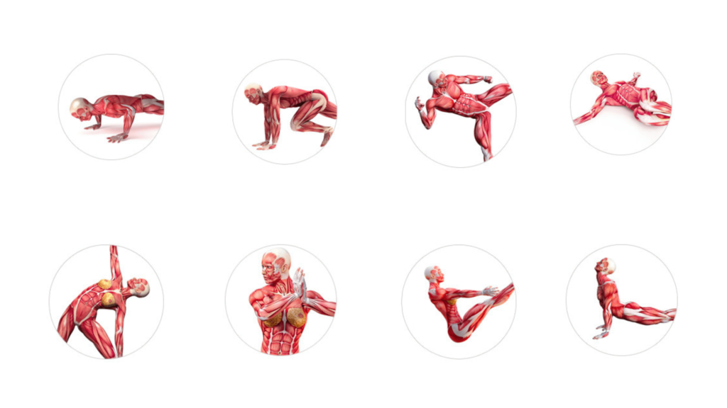 Metabolic Stretching Exercises