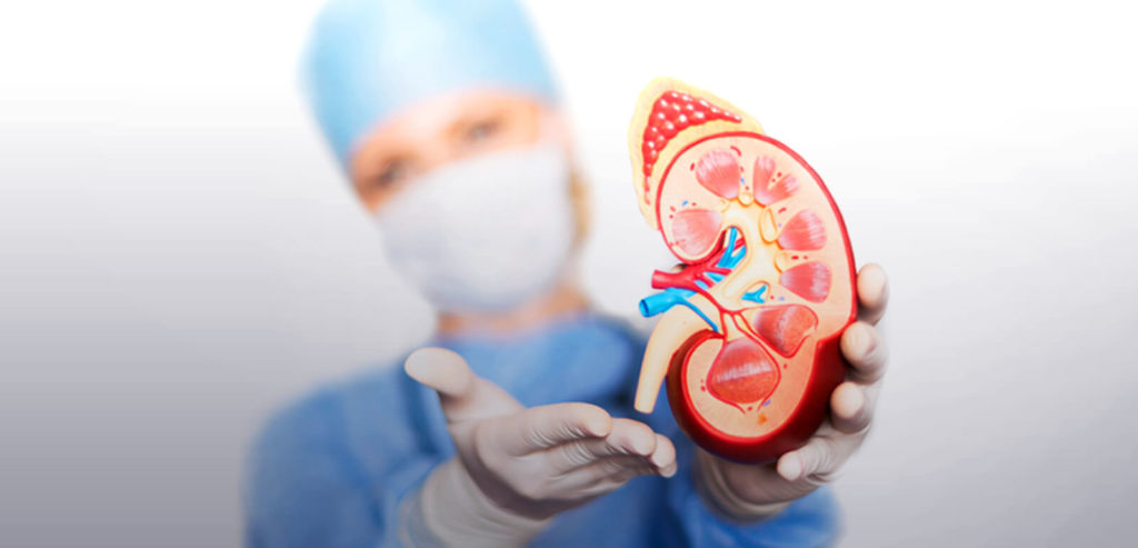 Nephrology Referrals Reveal That Patients At Low Risk For Progression