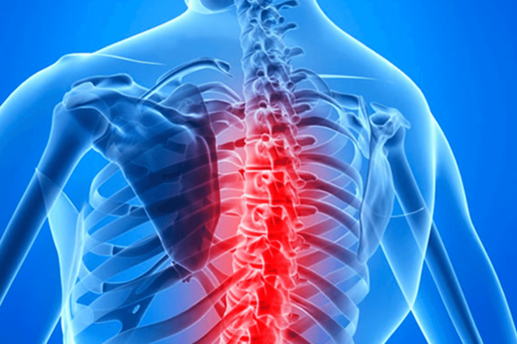 Treatment Of Spinal Cord Injuries, Integrative And Complementary Medicine Is Widely Used