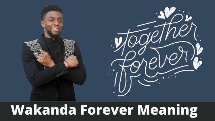 wakanda-forever-meaning-chadwick-boseman-s-black-panther-salute-explained