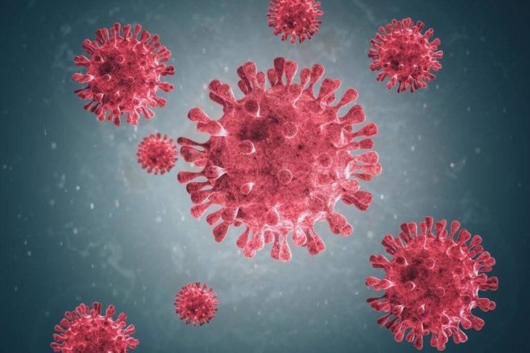 A-Recent-Study-Suggests-SARS-Cov-2-Is-Developing-To-Fly-Better-1