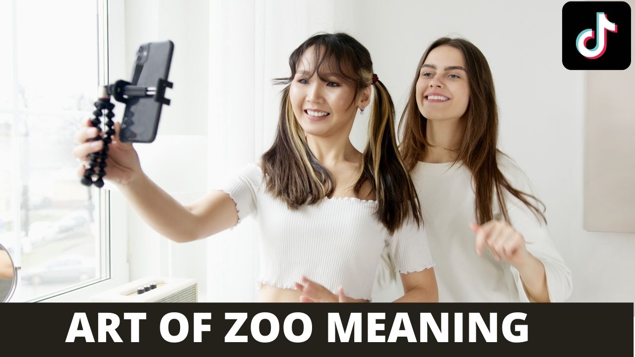 Art of the Zoo meaning Explained – Viral TikTok Trend 2021