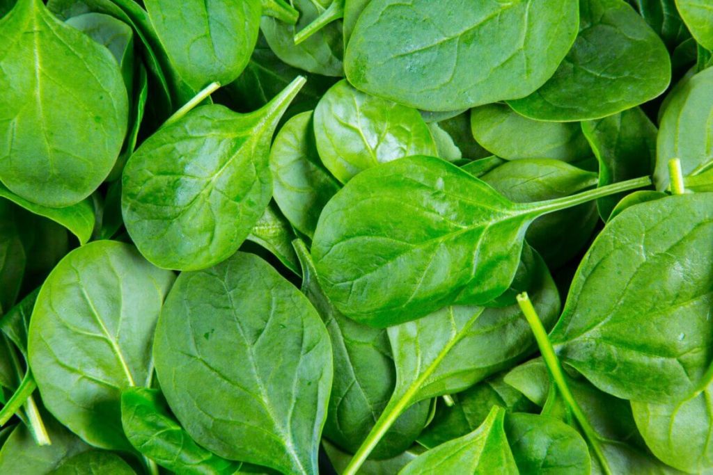 Consuming Spinach May Help To Prevent Colon Cancer