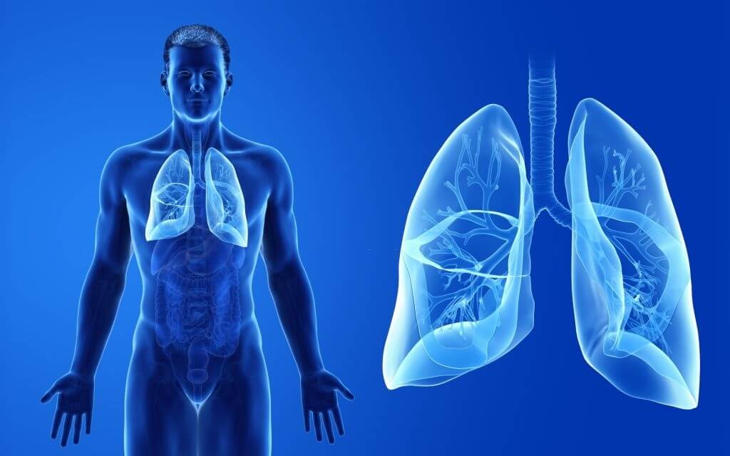 How-Mucus-Protein-Contributes-To-The-Progression-Of-COPD-Asthma-Other-Lung-Diseases