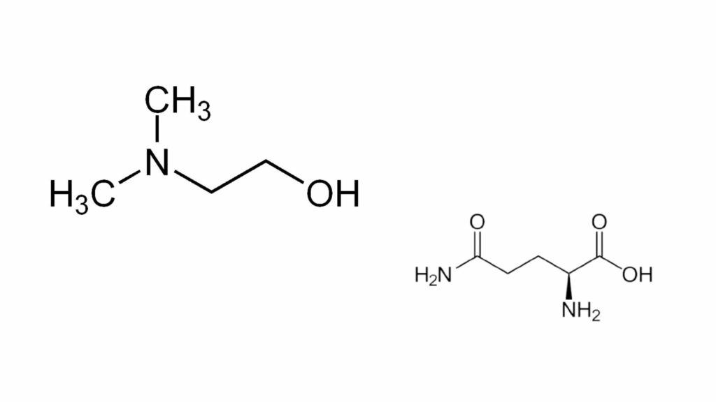 Nootrogen Ingredients