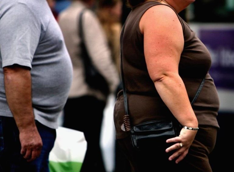 Obesity Promoting Chemicals Require More Grounded Guidelines