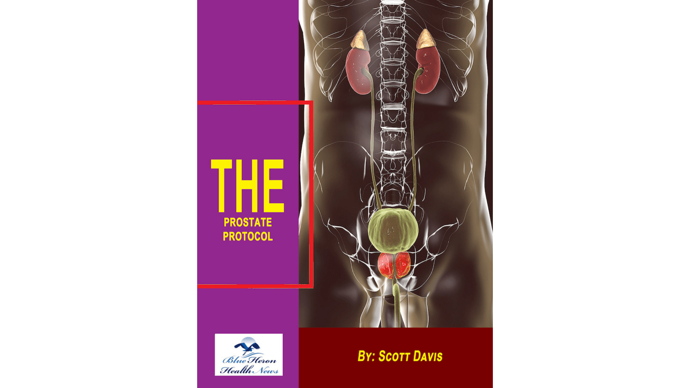 The Prostate Protocol Reviews 