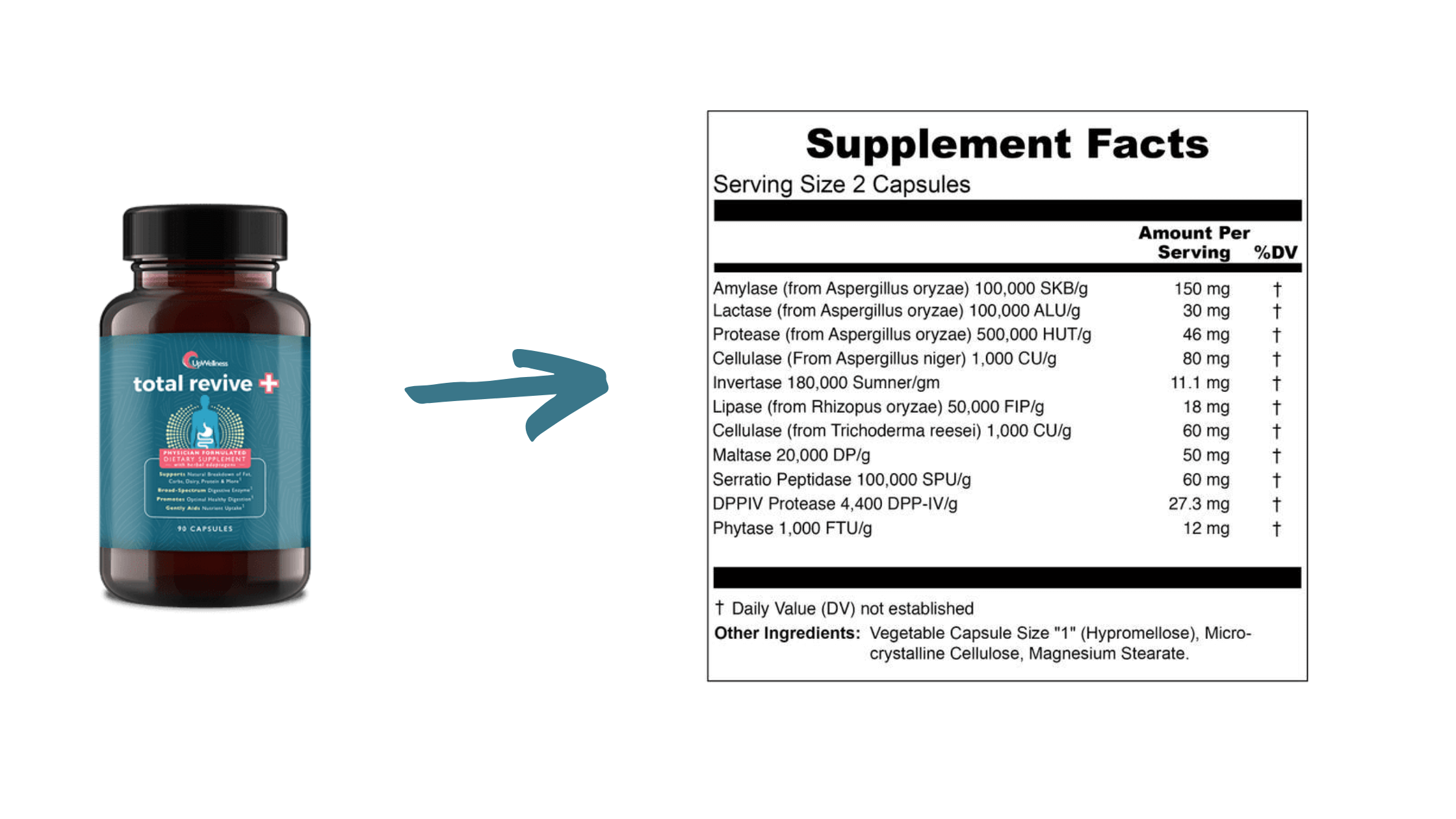 Total Revive Plus Facts