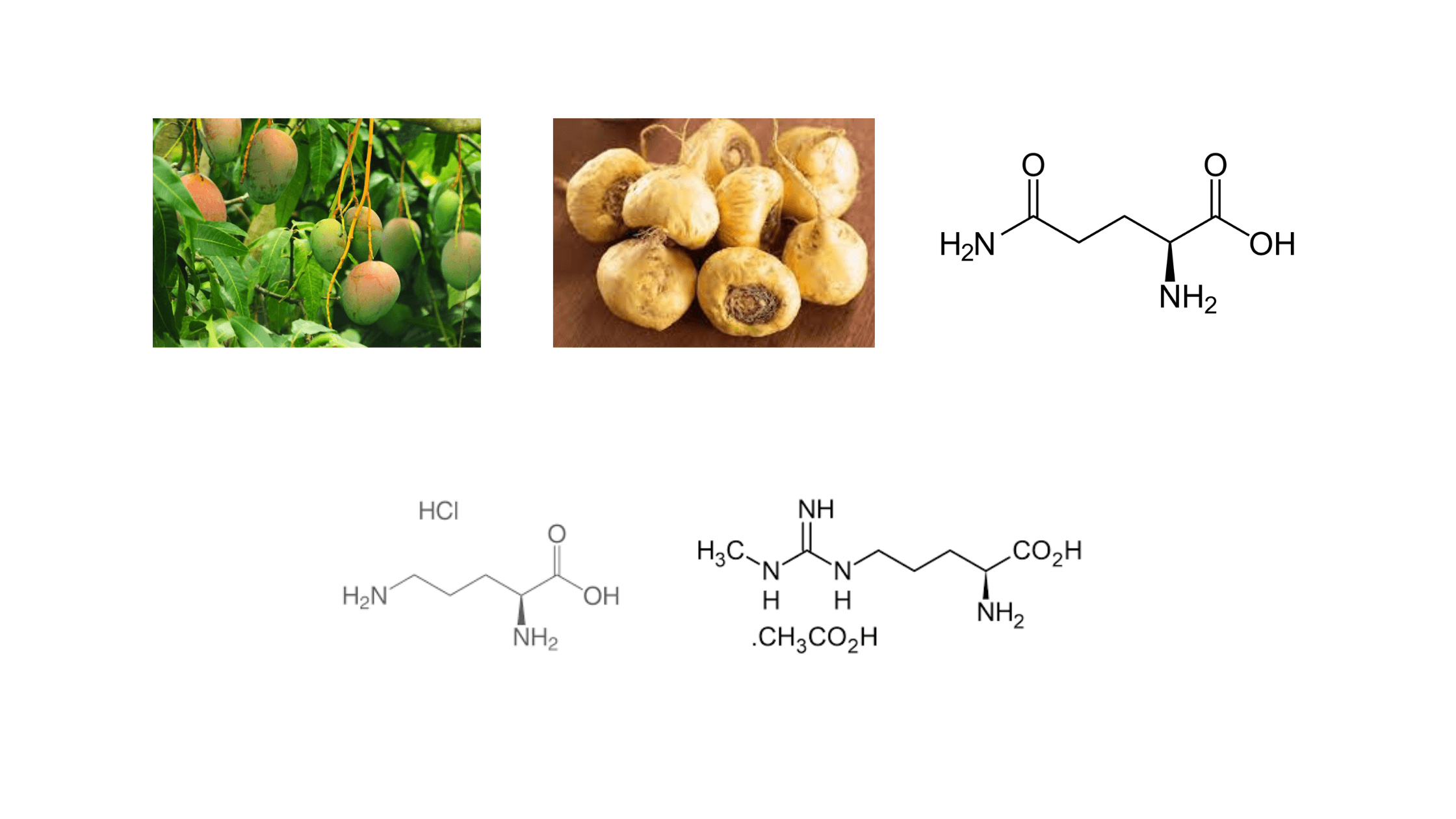 VivaSlim Ingredients