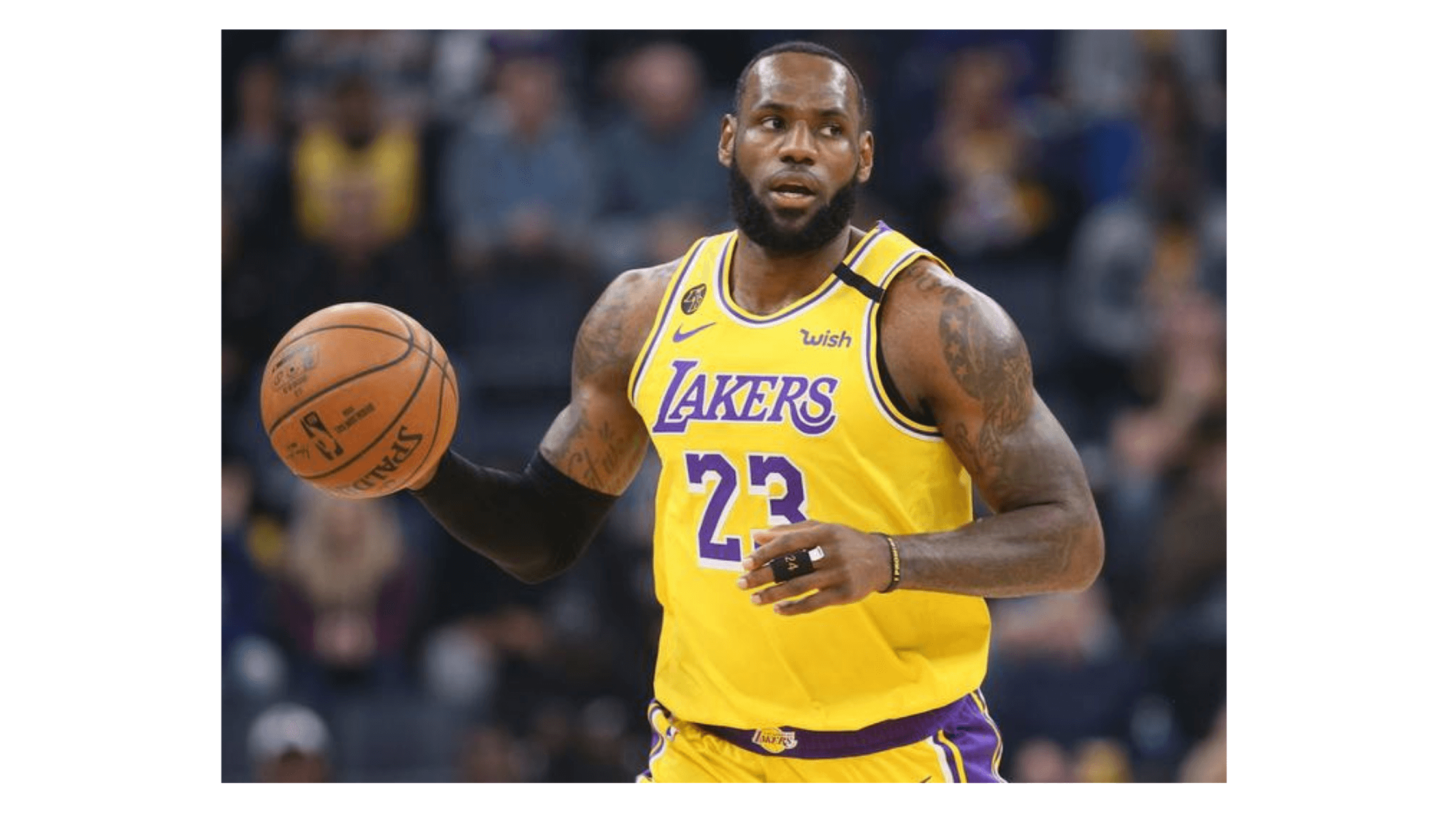 Which Field Make LeBron James More Popular