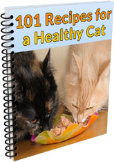 Cat Spraying No More Bonus 101 Recipes For A Healthy Cat