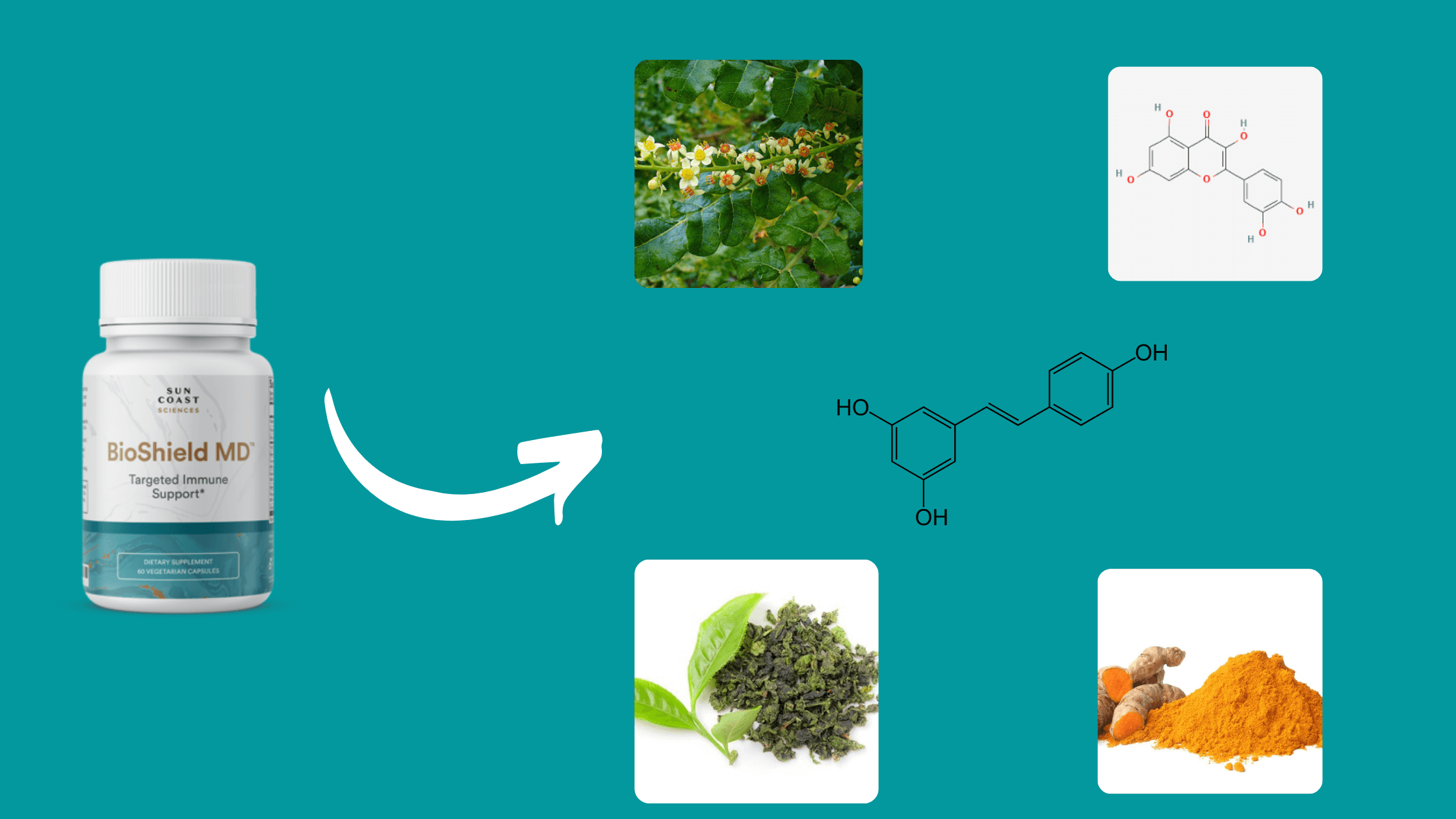 BioShield MD Ingredients