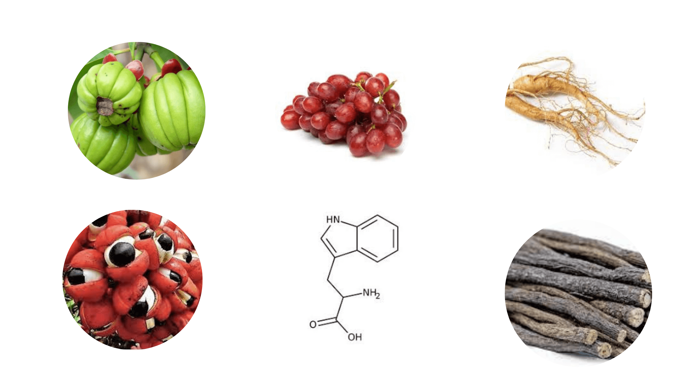 Biotox Gold Ingredients 