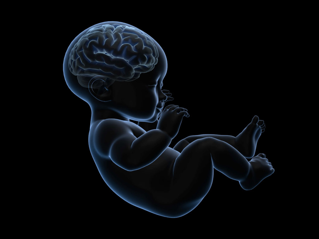 Electronic And Baby Product Chemicals Damage Brain Development