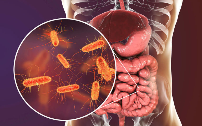 Gut-Bugs-Can-Fuel-Prostate-Cancer-Growth-And-Resistance-1