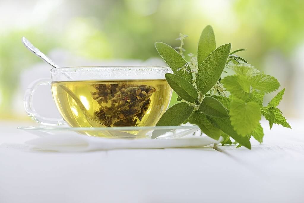 Health Benefits Of Green Tea Extract