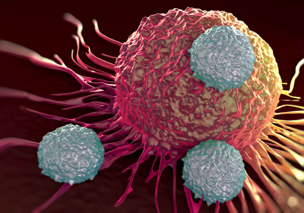 Killer T Cells Could Help The Immune System Fight Cancer