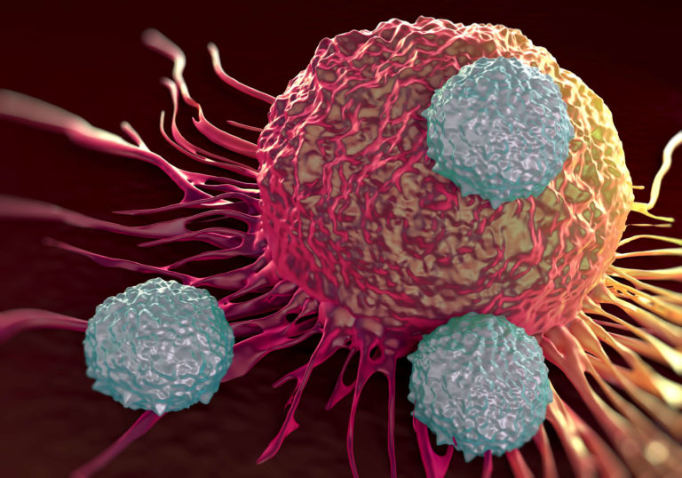 Killer-T-Cells-Could-Help-The-Immune-System-Fight-Cancer-1