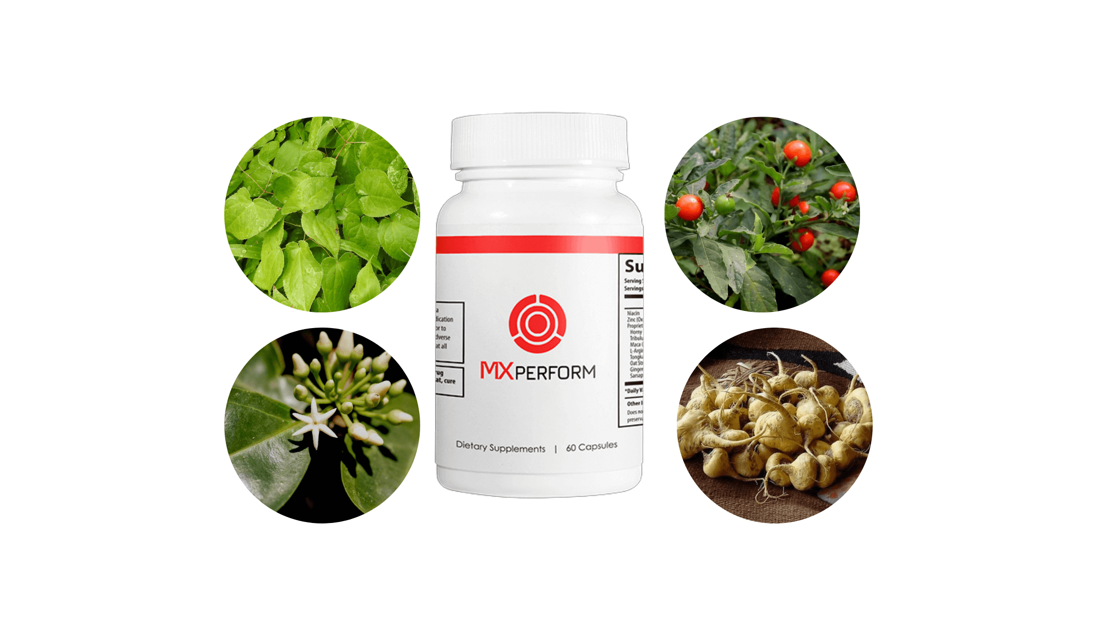 MX Perform supplement Ingredients