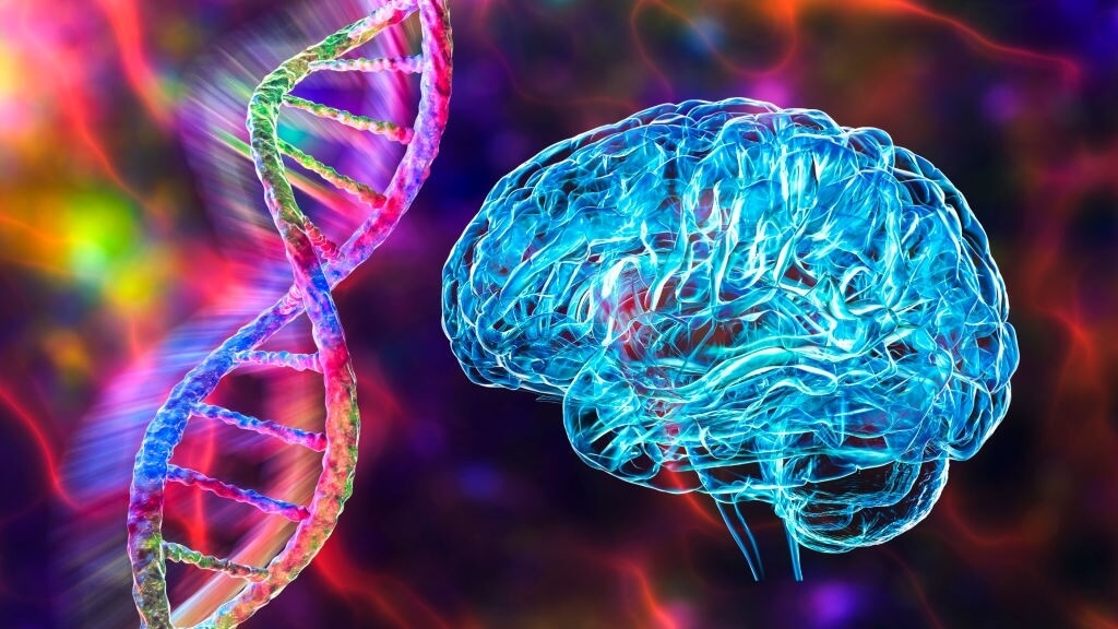 Major-Alzheimers-Risk-Gene-May-Have-Cognitive-Benefits-1