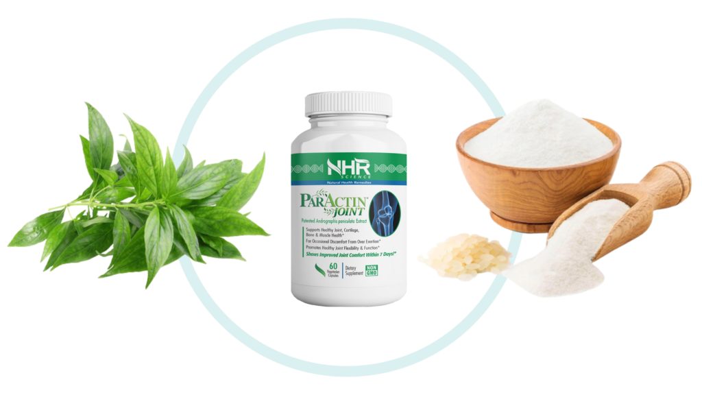 NHR Science ParActin Joint ingredients