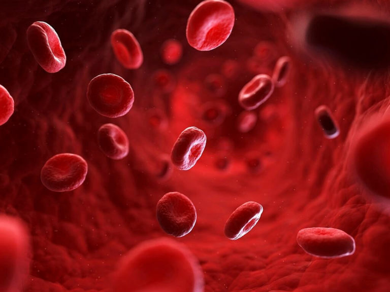 New-Strategy-Recognizes-Pathogenic-Particles-In-The-Blood-1