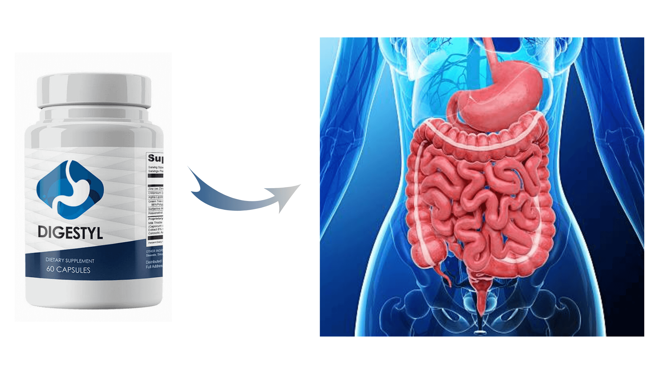 Digestyl Reviews - Is This Supplement Safe For Your Gut Health?
