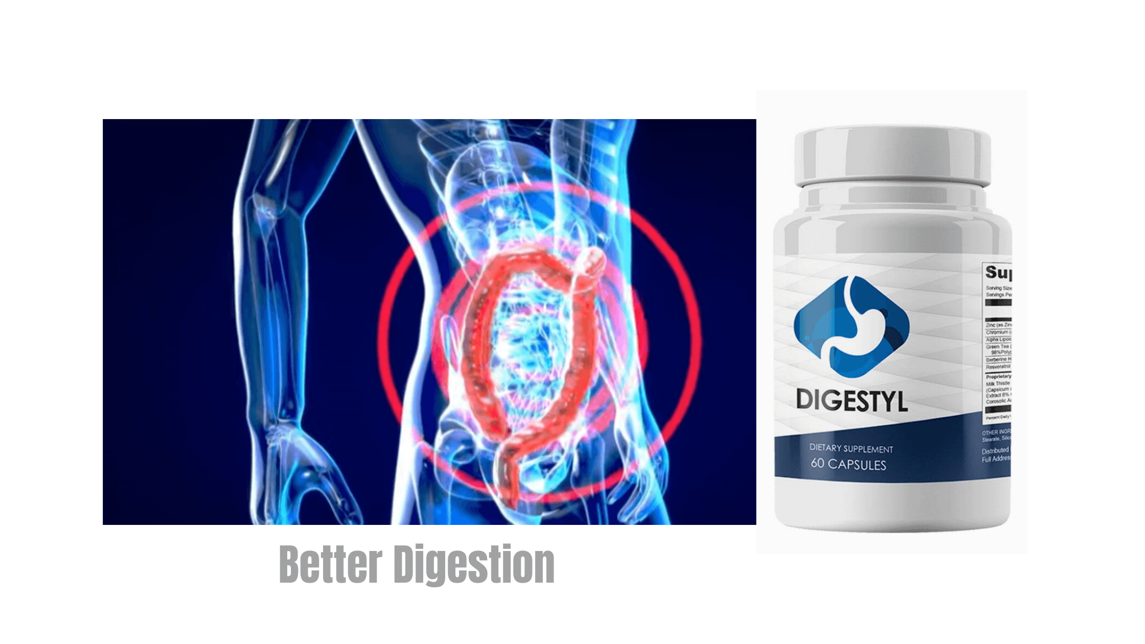 Digestyl Results