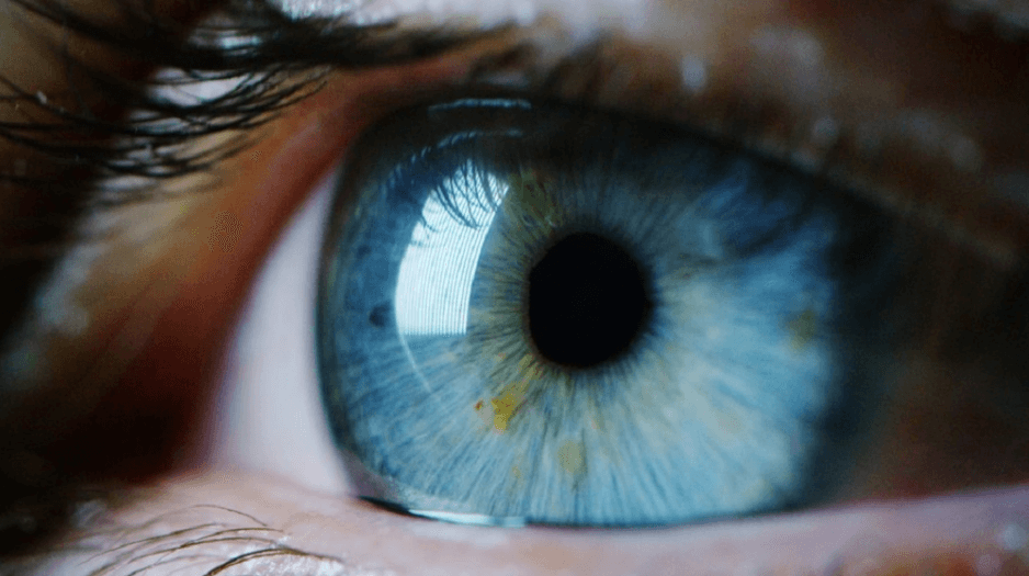 Eye Movements Are Predicted By Artificial Intelligence