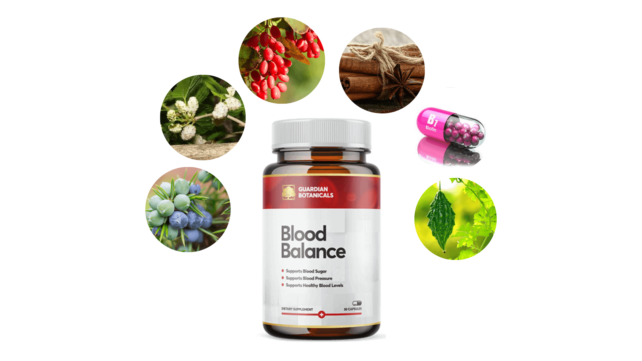 Guardian Botanicals Blood Balance ingredients