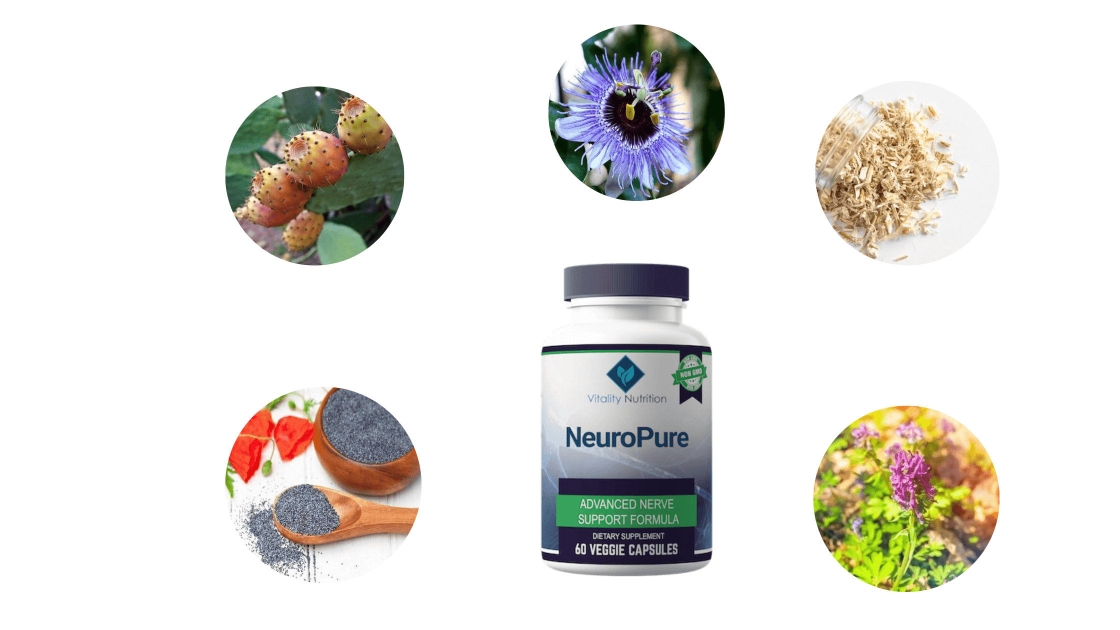 NeuroPure Ingredients