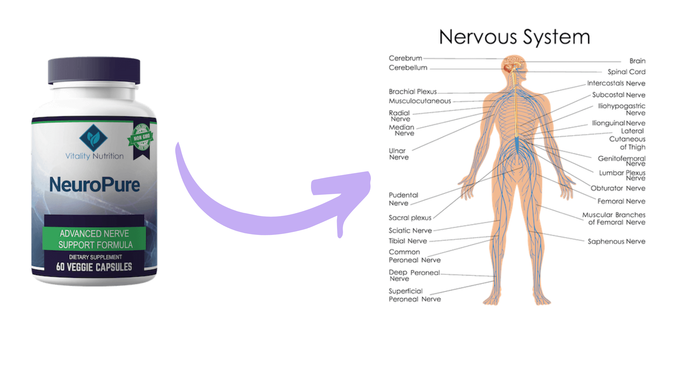 NeuroPure Reviews: A Quick Solution For Nerve Pain!