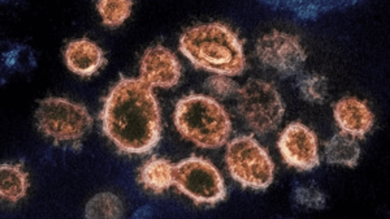 Scientists-Find-Second-HIV-Patient-Whose-Body-Looks-To-Be-Virus-Free-1