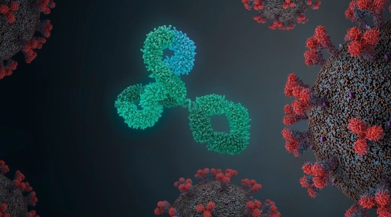 Scientists-Identify-A-New-Antibody-Of-COVID-19-1