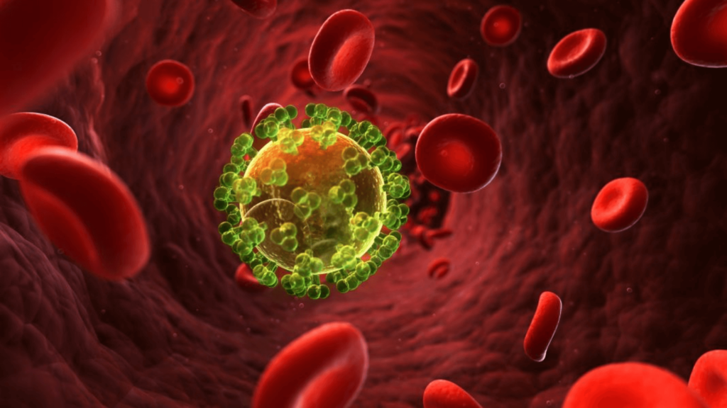Sugar Molecule On HIV-Infected Cells Plays A Role In Immune System