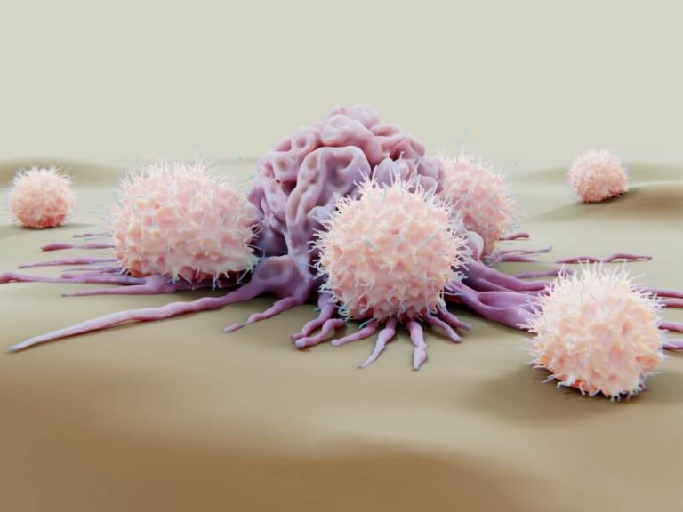 The Model Predicts Early Response To Immunotherapy For Cancer 2 (1)