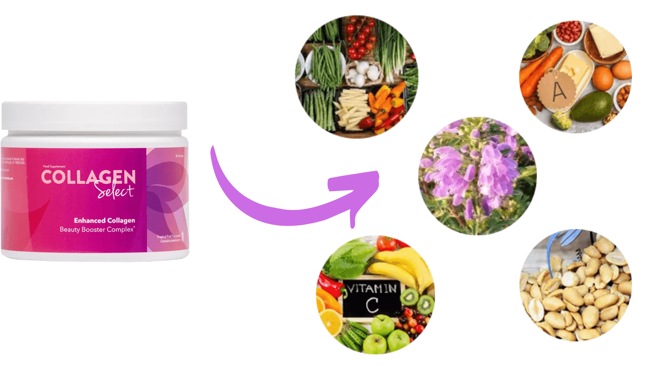  Collagen Select Ingredients