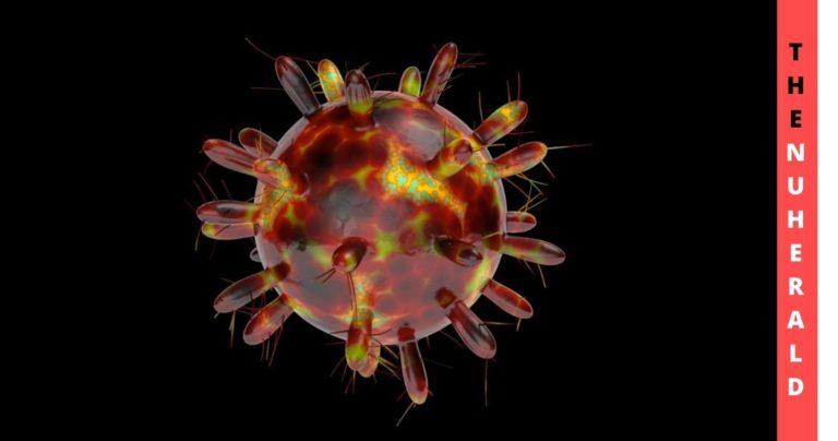 More-Testing-Location-Started-In-New-York-For-Test-Frequency