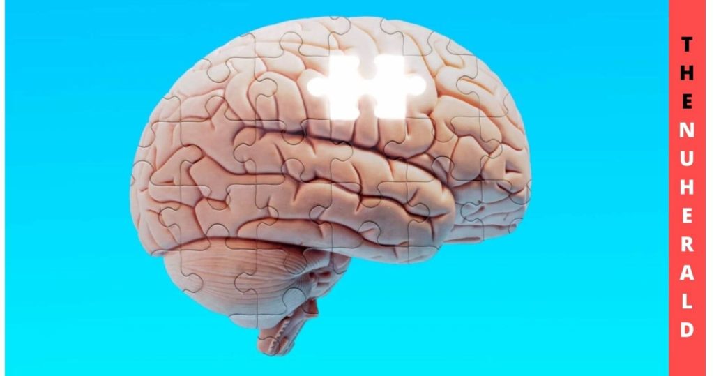 A Normal Brain Injury Results In Lesions Associated With Cognitive Decline