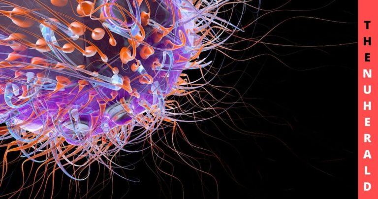 A-Study-Demonstrates-How-HIV-Replicates-In-The-Body