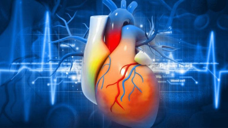 An-Amish-Gene-Variant-Is-Linked-To-A-Lower-Risk-Of-Heart-Disease-1