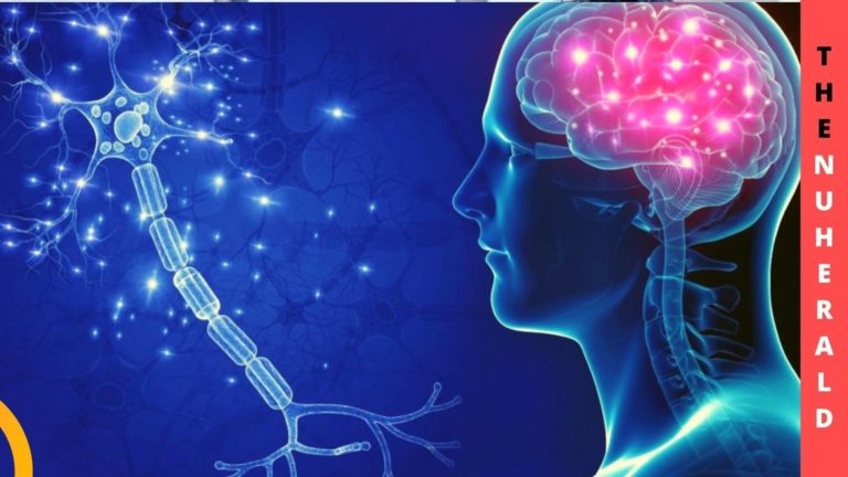 Changed-Brain-Structural-Connectivity-Relation-To-Neurological-Signs-1