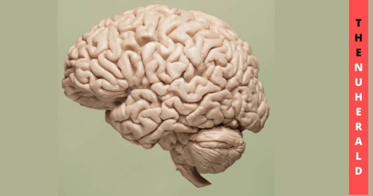 General-Anesthesia-Doesnt-Impact-The-Brain-Much