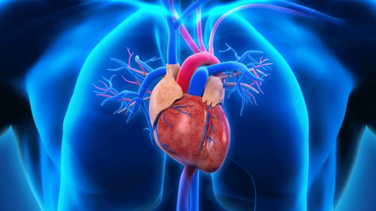 Hearts-Are-Forged-With-Guts-1