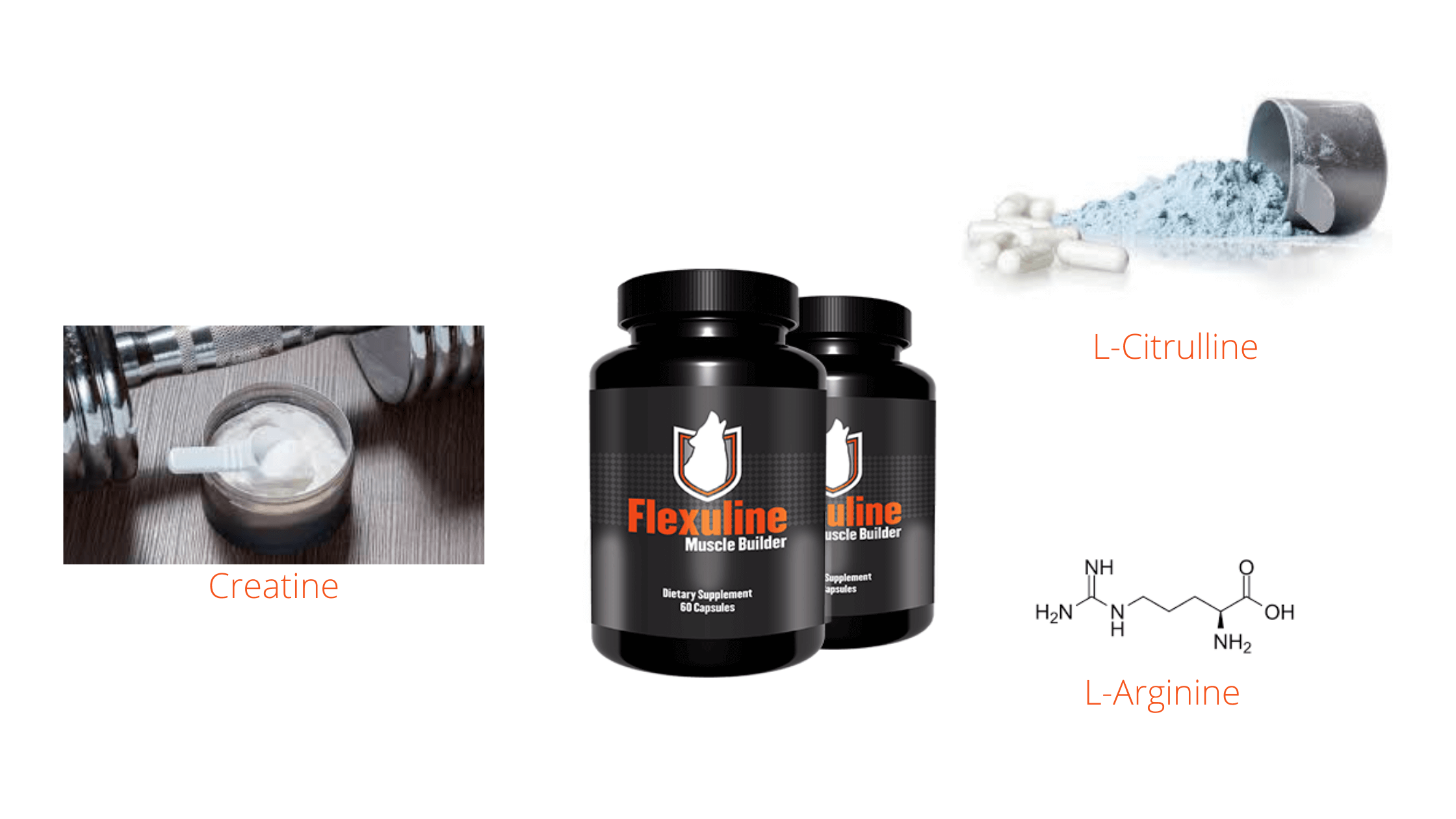 Ingredients of Flexuline Muscle Builder