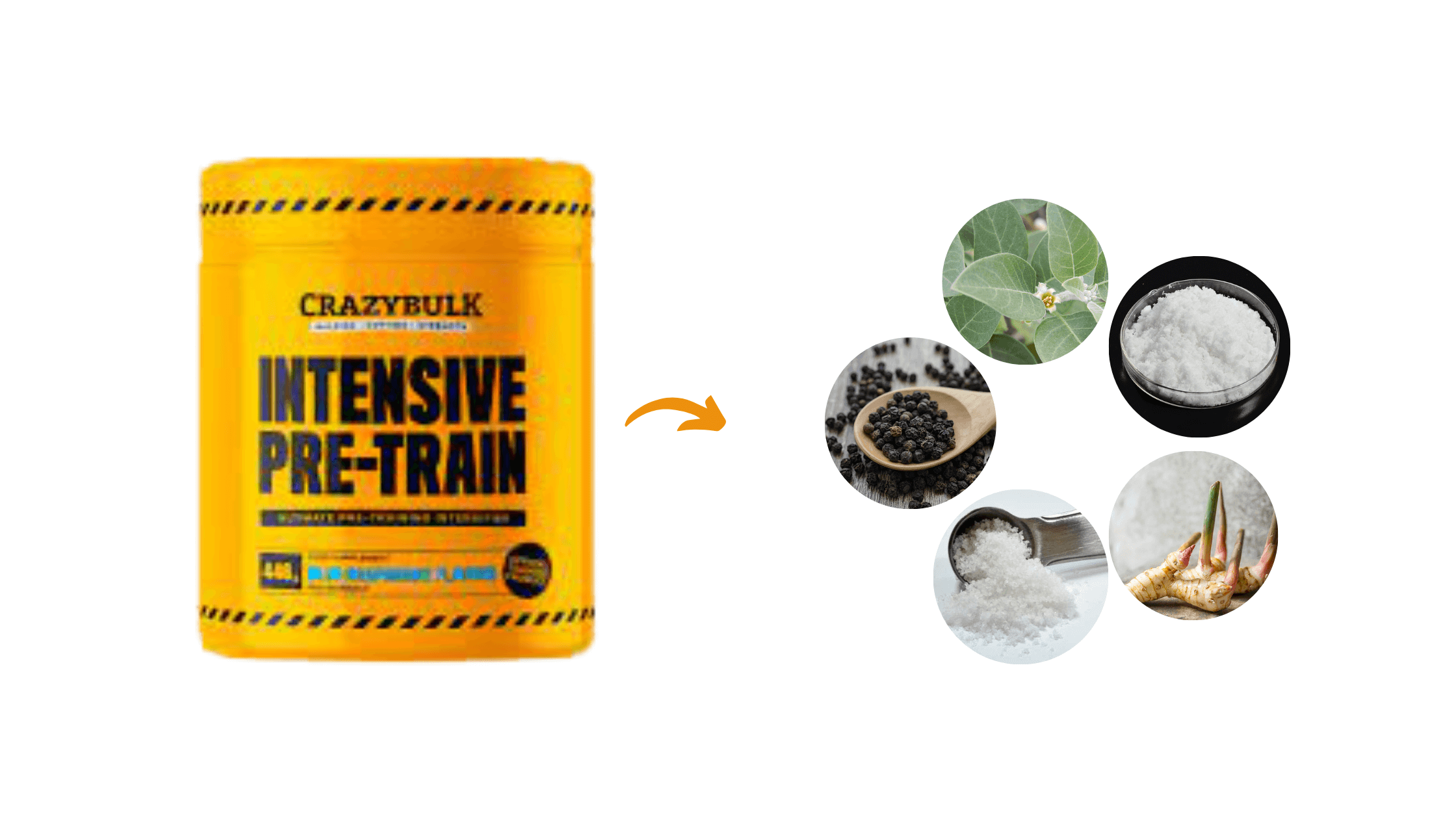 Intensive Pre-Train ingredients