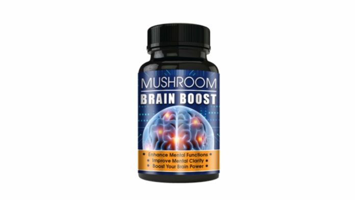 Mushroom-Brain-Focus-Reviews