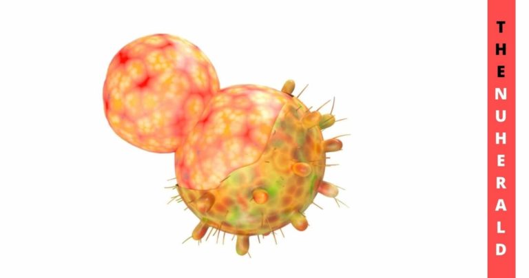 Omicron-Could-Introduce-New-COVID-Infections-To-The-US