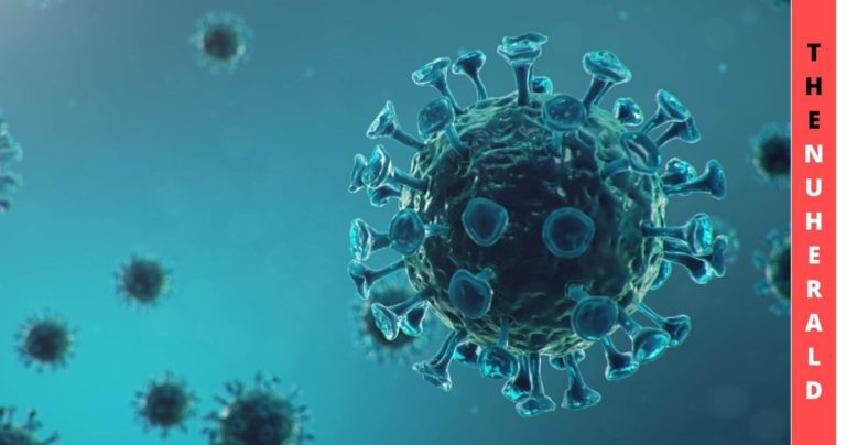 Omicron-Strain-Is-Rising-To-Peak-Spread-In-The-U.S.